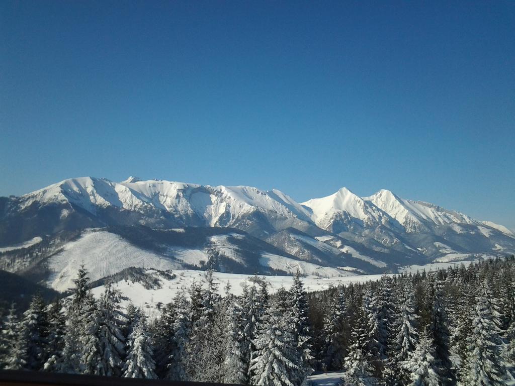 Penzion Silon Zdiar Bagian luar foto